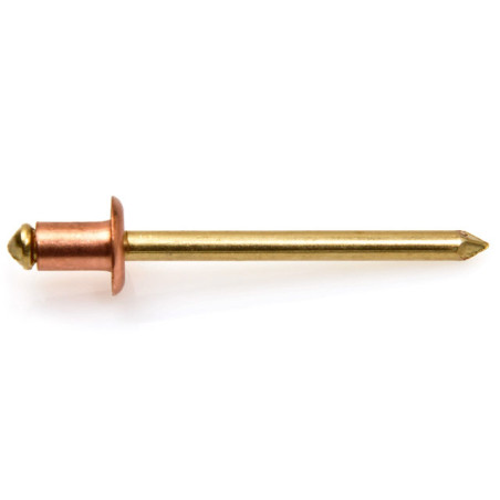 1 x Rivet TRS cuivre tige laiton 3.2X6