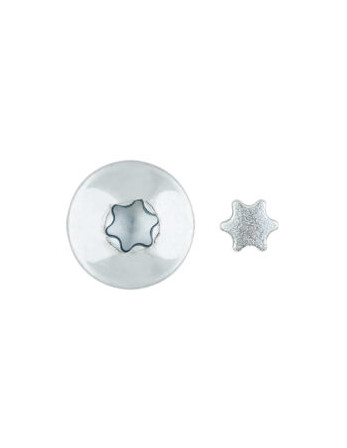 Vis Penture Inviolable 2 pièces TORX T40 7X120 Acier zingué