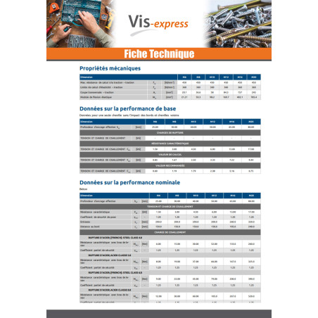 1 x Cheville NUGGET RAWLPLUG Acier zingué 8X30