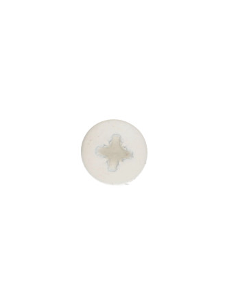 VBA Vis bois agglo Tête ronde TR Pozi N°2 5X50 Acier zingué Laqué blanc RAL9010 blanc pur
