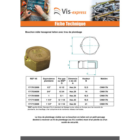 1 x Bouchon femelle Figure 300 8x13 (1/4") Laiton