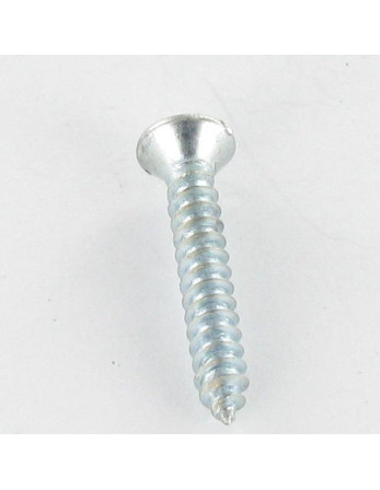 Vis tôle Tête fraisée bombée TFB Fendue 4.8X19 Acier zingué