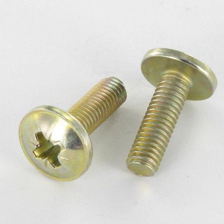 1 x Vis Poelier Pozi M6X24 Diamètre de tête: 14.5 Bichromaté