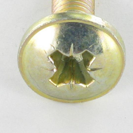 1 x Vis Poelier Pozi M6X24 Diamètre de tête: 14.5 Bichromaté