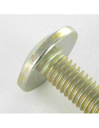Vis Poelier Pozi M6X24 Diamètre de tête: 14.5 Bichromaté