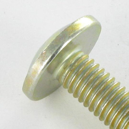 1 x Vis Poelier Pozi M6X24 Diamètre de tête: 14.5 Bichromaté