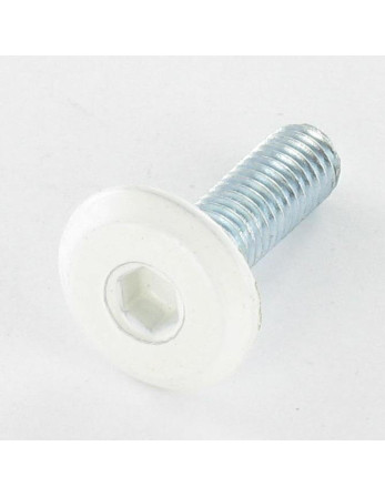 Vis métaux tête plate Clé de 4 HC4 M6X20 Acier zingué Tête RAL9010 blanc pur