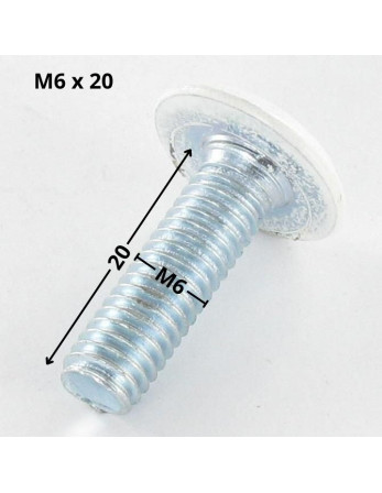 Vis métaux tête plate Clé de 4 HC4 M6X20 Acier zingué Tête RAL9010 blanc pur