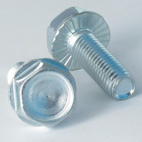 1 x Vis autotaraudeuse Tête hexagonale TH Embase collerette crantée M10X40 Acier zingué