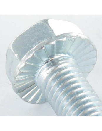 Vis autotaraudeuse Tête hexagonale TH Embase collerette crantée M10X40 Acier zingué