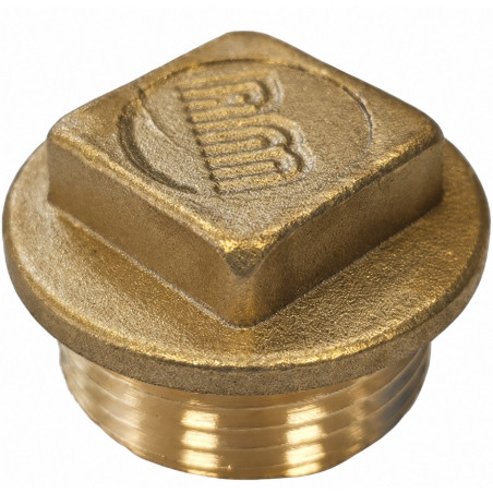 1 x Bouchon mâle Figure 290 80x90 (3") Tête carrée Laiton