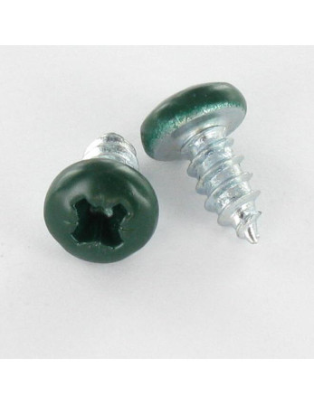 Vis tôle tête cylindrique bombée large Pozi 4.2X16 Acier zingué RAL6005 vert mousse