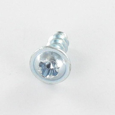 1 x Vis pvc Poelier Pozi N°2 4X16 Acier zingué