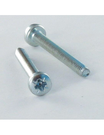 Vis autotaraudeuse tête cylindrique bombée large M5X20 Pozi N°2 Acier zingué