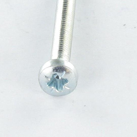 1 x Vis autotaraudeuse tête cylindrique bombée large M5X20 Pozi N°2 Acier zingué
