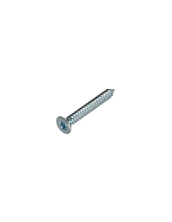 Vis tôle Tête fraisée TORX T8 2.9X19 Acier zingué