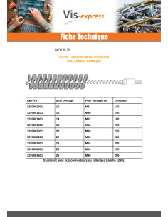 BROSSE Métallique Diamètre 12 Pour M10 2