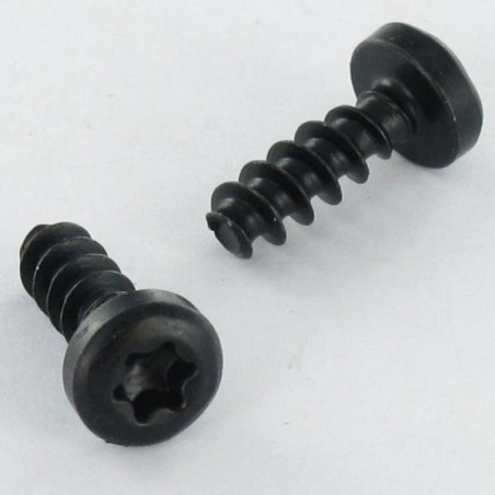 1 x Vis pvc Tête cylindrique TC TORX T20 4X12 Acier zingué noir