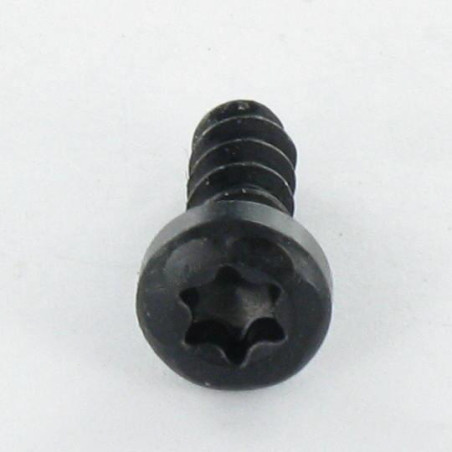 1 x Vis pvc Tête cylindrique TC TORX T20 4X12 Acier zingué noir