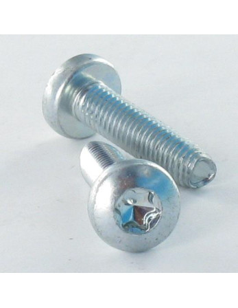 Vis autotaraudeuse tête cylindrique bombée large M8X30 TORX T45 Acier zingué