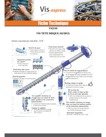 VBA Vis bois agglo Tête disque TORX T40 10X400 Acier zingué