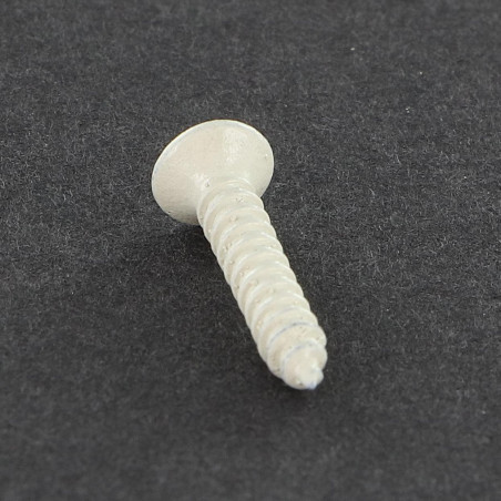 1 x Vis tôle Tête fraisée bombée TFB Pozi 2.9X16 Acier zingué Laqué blanc R9003