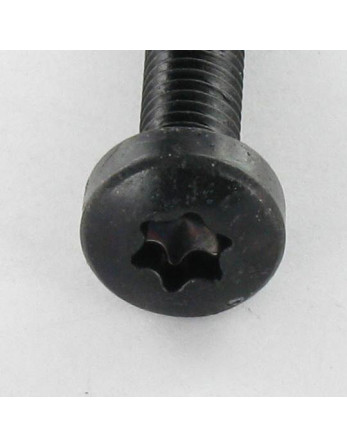 Vis autotaraudeuse tête cylindrique bombée large M4X8 TORX T20 Acier zingué noir