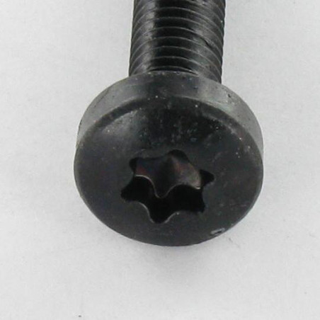 1 x Vis autotaraudeuse tête cylindrique bombée large M4X8 TORX T20 Acier zingué noir