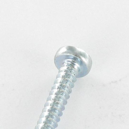 1 x Vis tôle tête cylindrique bombée large Pozi 4.8X50 Acier zingué