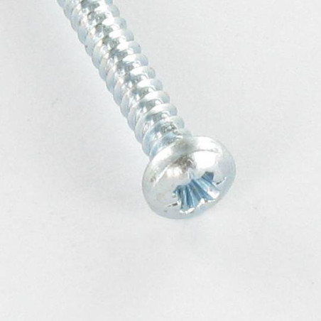 1 x Vis tôle tête cylindrique bombée large Pozi 4.8X50 Acier zingué