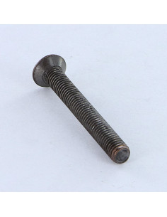 Vis métaux Tête fraisée bombée TFB Pozi M5X40 acier bronze 2