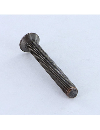 Vis métaux Tête fraisée bombée TFB Pozi M5X40 acier bronze