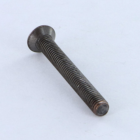 1 x Vis métaux Tête fraisée bombée TFB Pozi M5X40 acier bronze