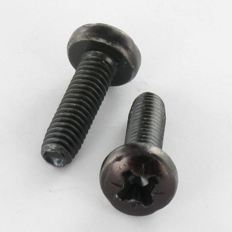 1 x Vis autotaraudeuse tête cylindrique bombée large M5X10 Pozi N°2 Acier zingué noir