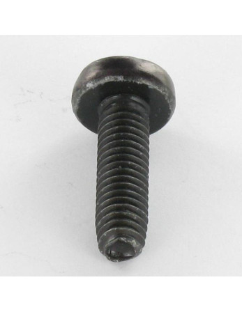 Vis autotaraudeuse tête cylindrique bombée large M5X10 Pozi N°2 Acier zingué noir