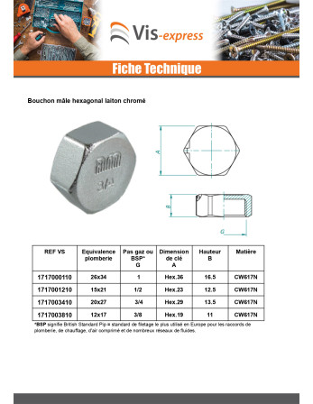 Bouchon femelle Figure 300 5x10 (1/8") Laiton