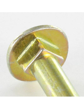 Vis bois TRCC JAPY tête ronde collet carré 6X50 Hexagonal creux 4 Acier zingué