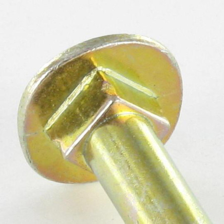 1 x Vis bois TRCC JAPY tête ronde collet carré 6X50 Hexagonal creux 4 Acier zingué