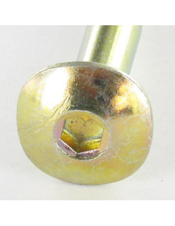 Vis bois TRCC JAPY tête ronde collet carré 6X50 Hexagonal creux 4 Acier zingué