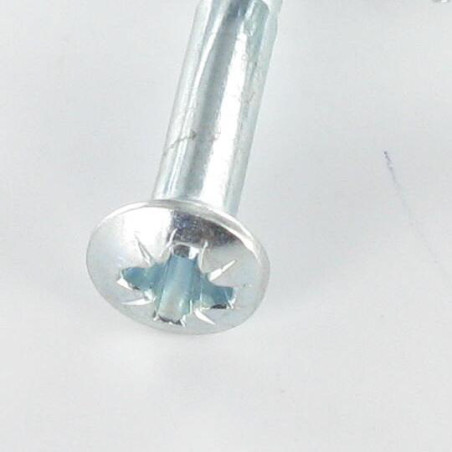 1 x Vis bois Tête fraisée bombée TFB Pozi N°2 4X25 Acier zingué