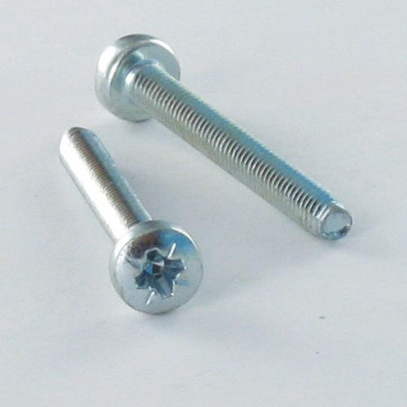 1 x Vis autotaraudeuse tête cylindrique bombée large M3X8 Pozi N°1 Acier zingué microvis