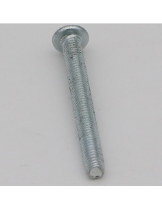 Vis autotaraudeuse Tête poelier Pozi 5X45 CR3+ 2