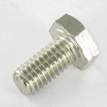 1 x Vis métaux Laiton chrome Tête hexagonale TH M6X12