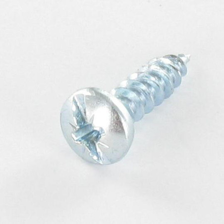 1 x VBA Vis bois agglo Tête ronde TR POZI et fendu 5X20 Diamètre de tête: 10 Acier zingué