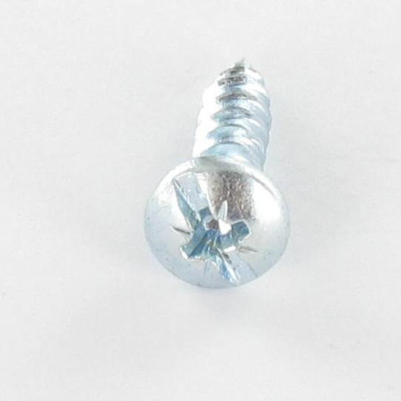 1 x VBA Vis bois agglo Tête ronde TR POZI et fendu 5X20 Diamètre de tête: 10 Acier zingué