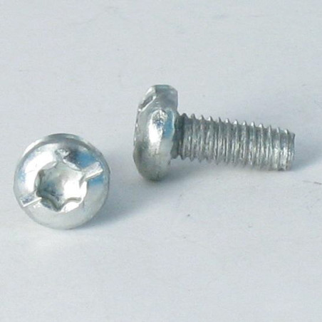 1 x Vis autotaraudeuse Tête cylindrique TC TORX Filetée sur Fendue 4X10 Cranté Acier zingué