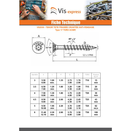 1 x Vis bois TEKOR Tête fraisée Cranté 6X50 TORX T30 Acier zingué Filetage total Pointe antifendage type 17