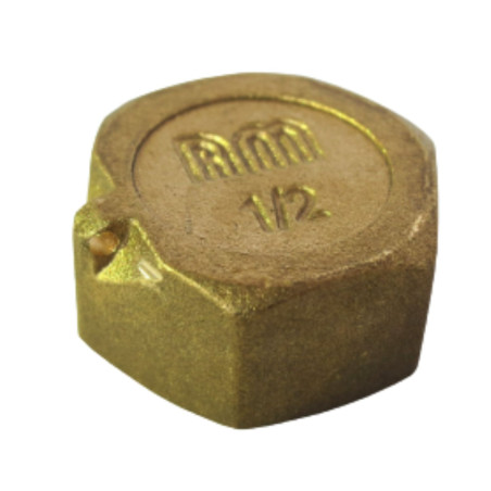 1 x Bouchon femelle Figure 300 26x34 (1") avec trou de plombage Laiton