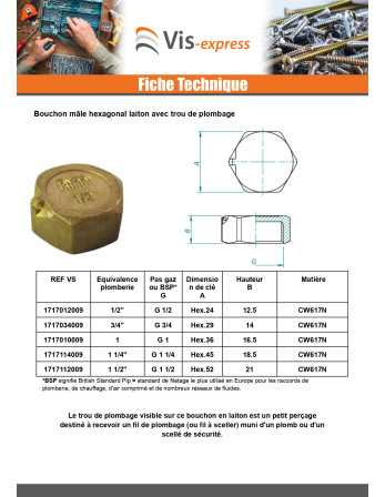 Bouchon femelle Figure 300 26x34 (1") avec trou de plombage Laiton