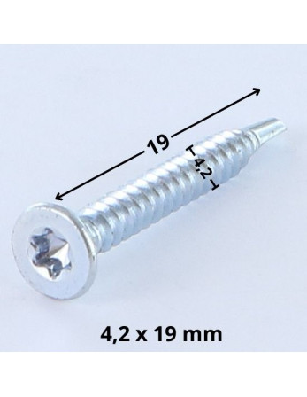 Vis autoperceuse Tête fraisée TORX T20 4.2X19 Acier zingué